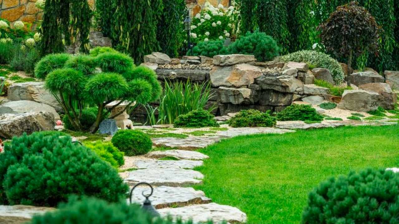 Top Canberra Landscaping Tips