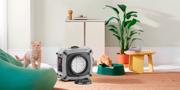 Markham’s Three-Route Guide to Air-Scrubber and Moisture-Control Rentals